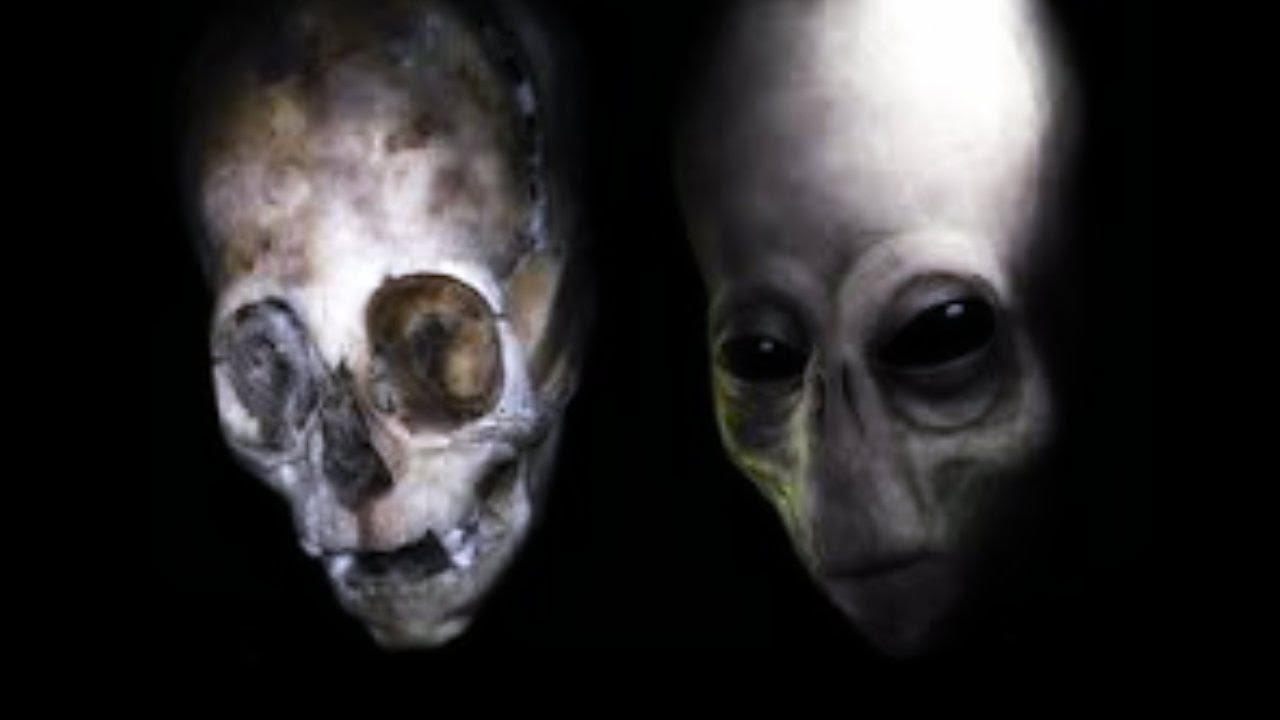 Documental: La Historia Oculta de la Evolución, el eslabón perdido ¿Extraterrestre?