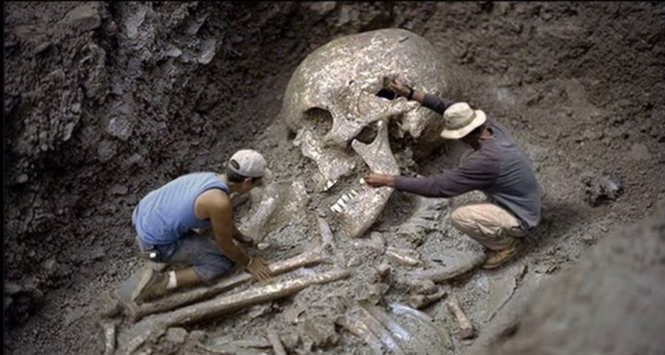 Los esqueletos de Gigantes: ¿Descubrimientos Encubiertos? (Video)