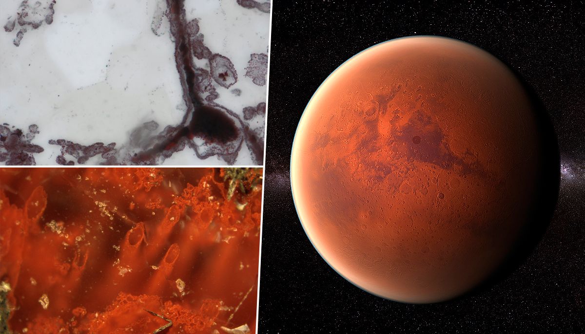El Rover Curiosity de NASA Descubre posible Evidencia de Vida micro-bacteriana en Marte