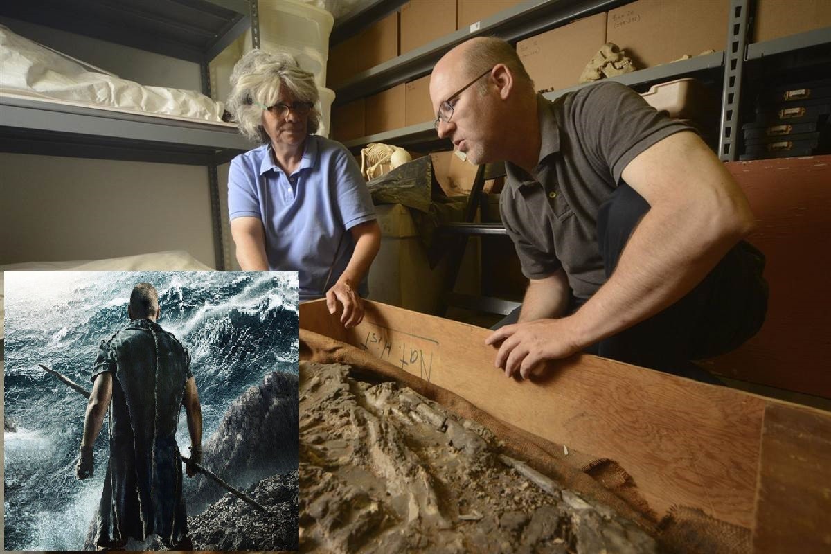 «Noé»: Descubierto un Esqueleto de 6.500 años de Antigüedad, que sobrevivió al Gran Diluvio (Video)