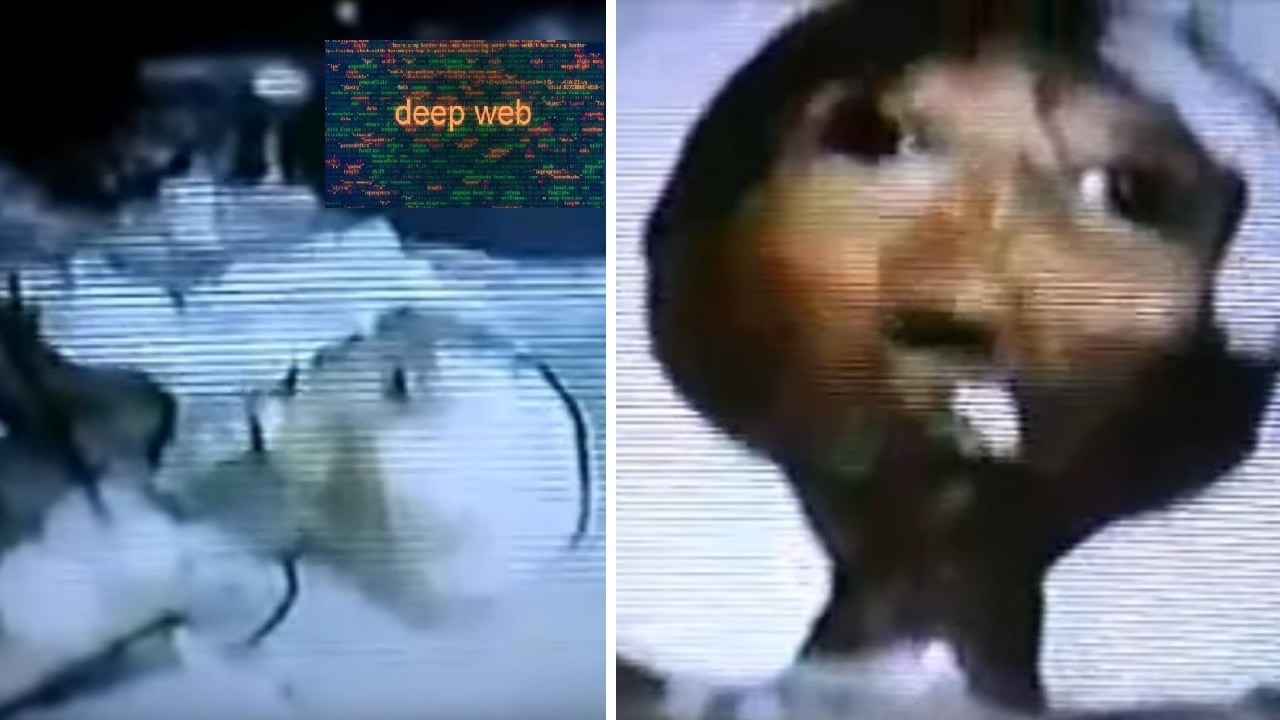 Polémica en las Redes: ¿Extraterrestre grabado en Video en Suiza, en 1992?