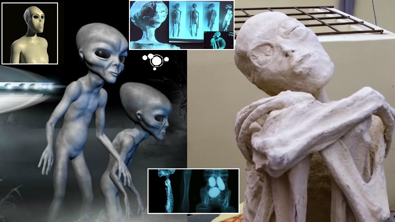 ¿Son las Momias de Nazca Reales? Desvelando el Misterioso Origen del ADN de María (Video)