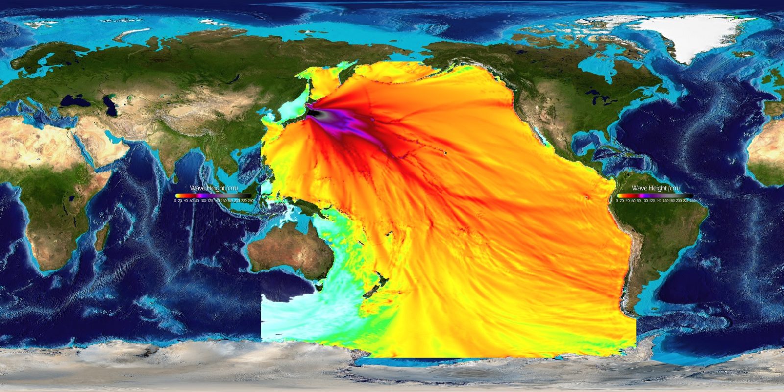 Impactante informe: 1/3 de los océanos de la Tierra podrían estar contaminados con radiación de Fukushima