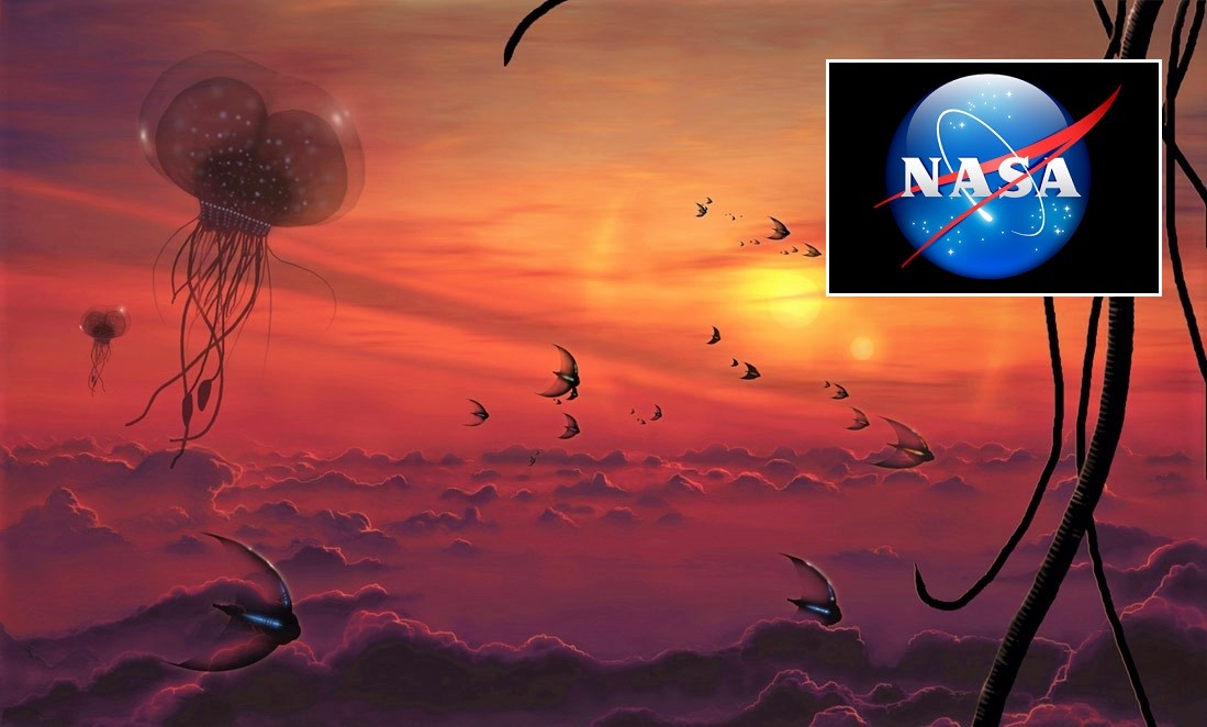 Estudio financiado por NASA dice que podría existir vida extraterrestre en Venus (Video)