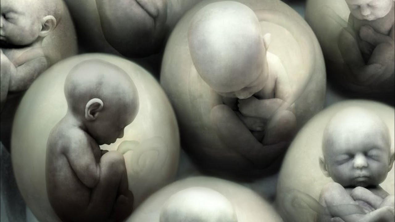 La clonación humana: ¿Una terrible realidad oculta? (Video)