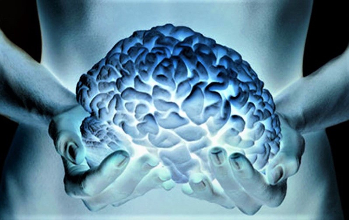 Investigadores descubren un «segundo cerebro» oculto en el cuerpo humano (Video)