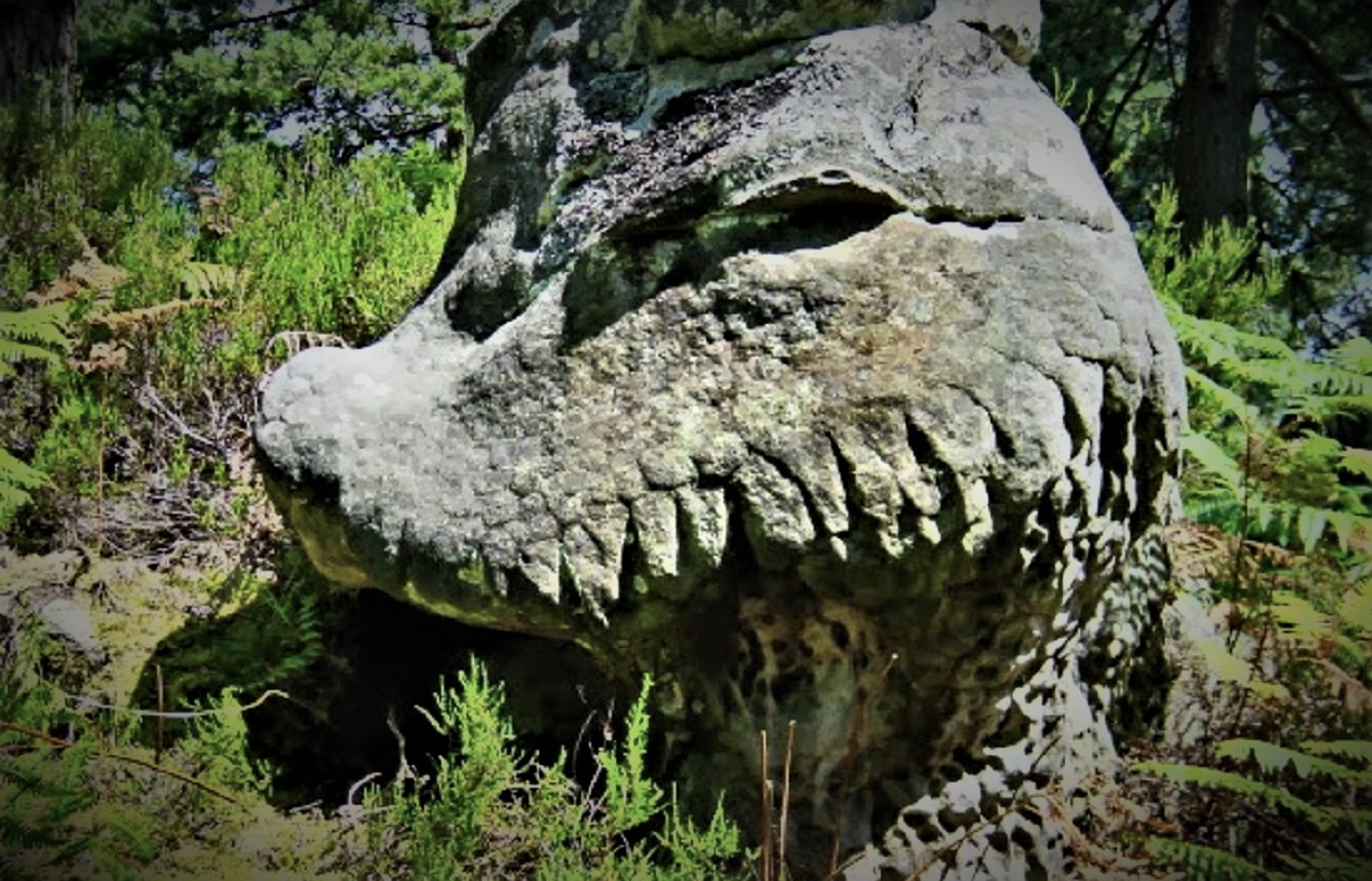 Fontainebleau: El bosque de los Reptilianos petrificados en Francia (Video)