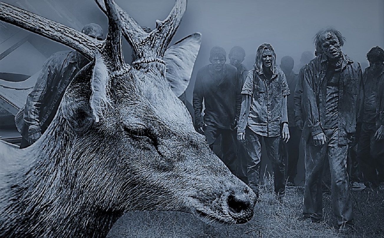 Alerta en EE.UU. por la propagación del ‘virus zombie’ de los ciervos (Video)