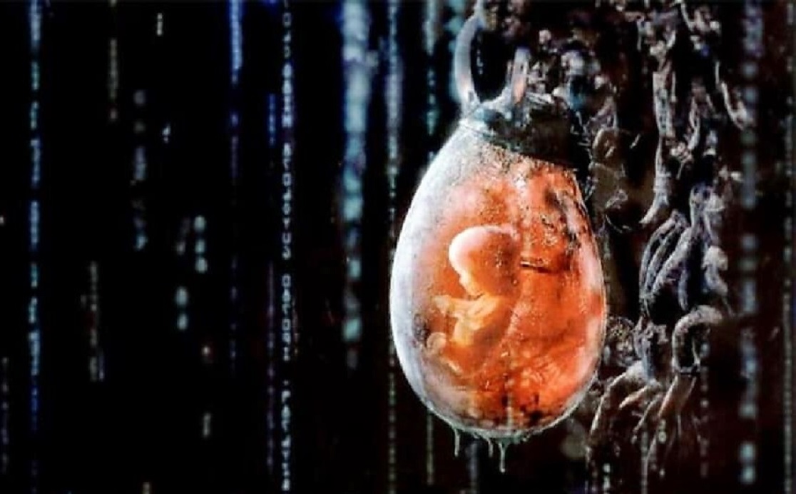 Nacen los úteros artificiales: Bienvenido a Matrix (Video)