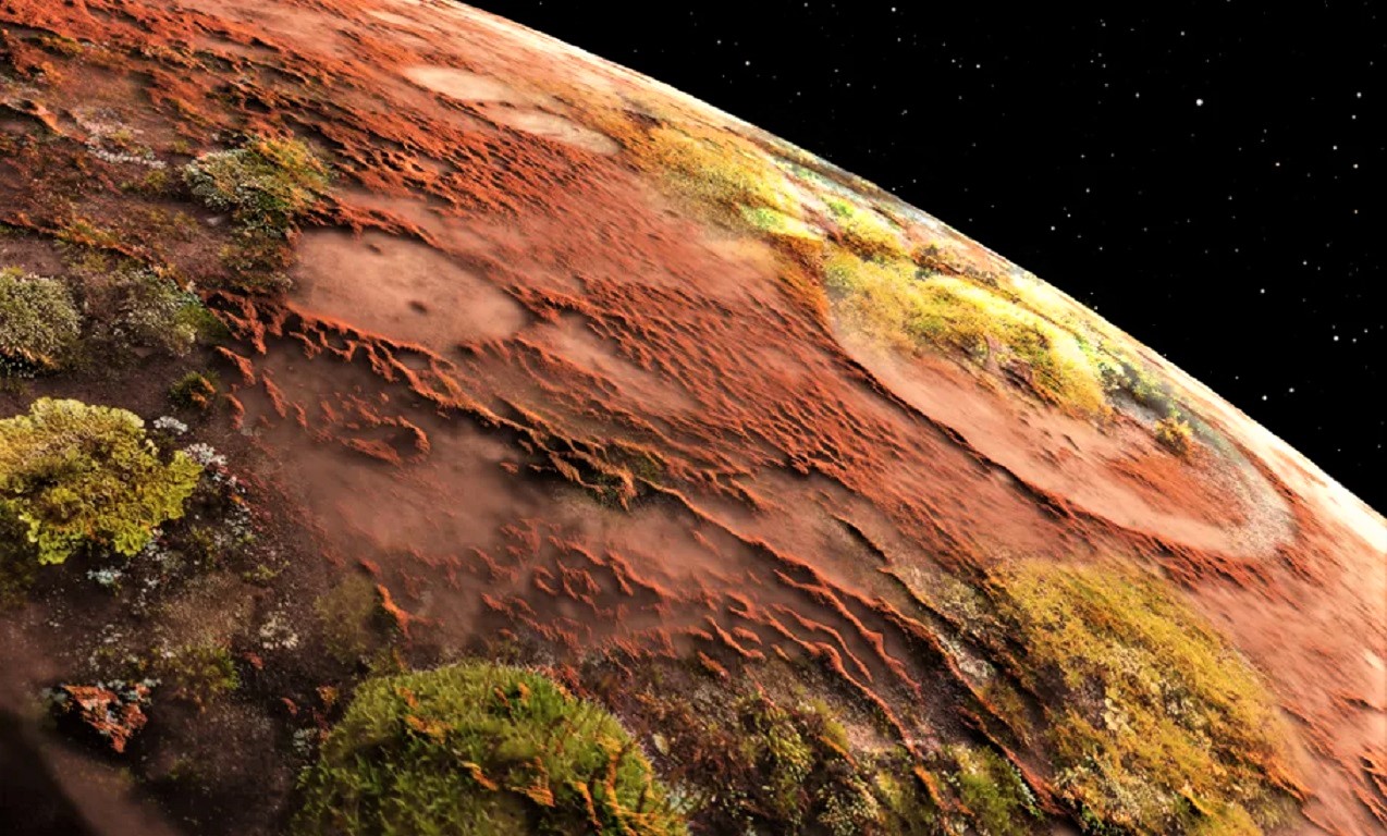 Científicos descubren «hongos floreciendo» en Marte (Video)