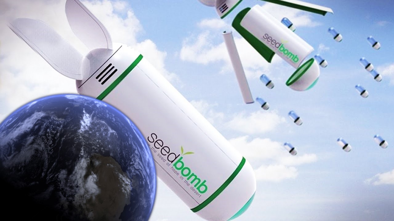 Planean lanzar «Bombas de Semillas» para reforestar el planeta