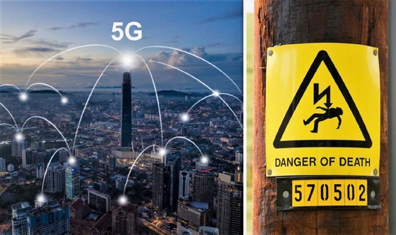 El secreto de la red 5G: un riesgo para la humanidad (Video)