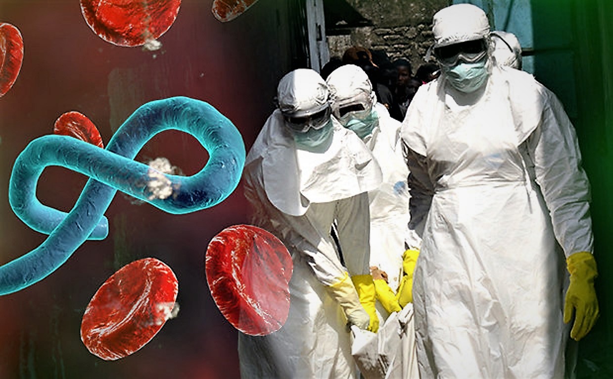 La OMS declara el ébola «emergencia de salud pública» mundial