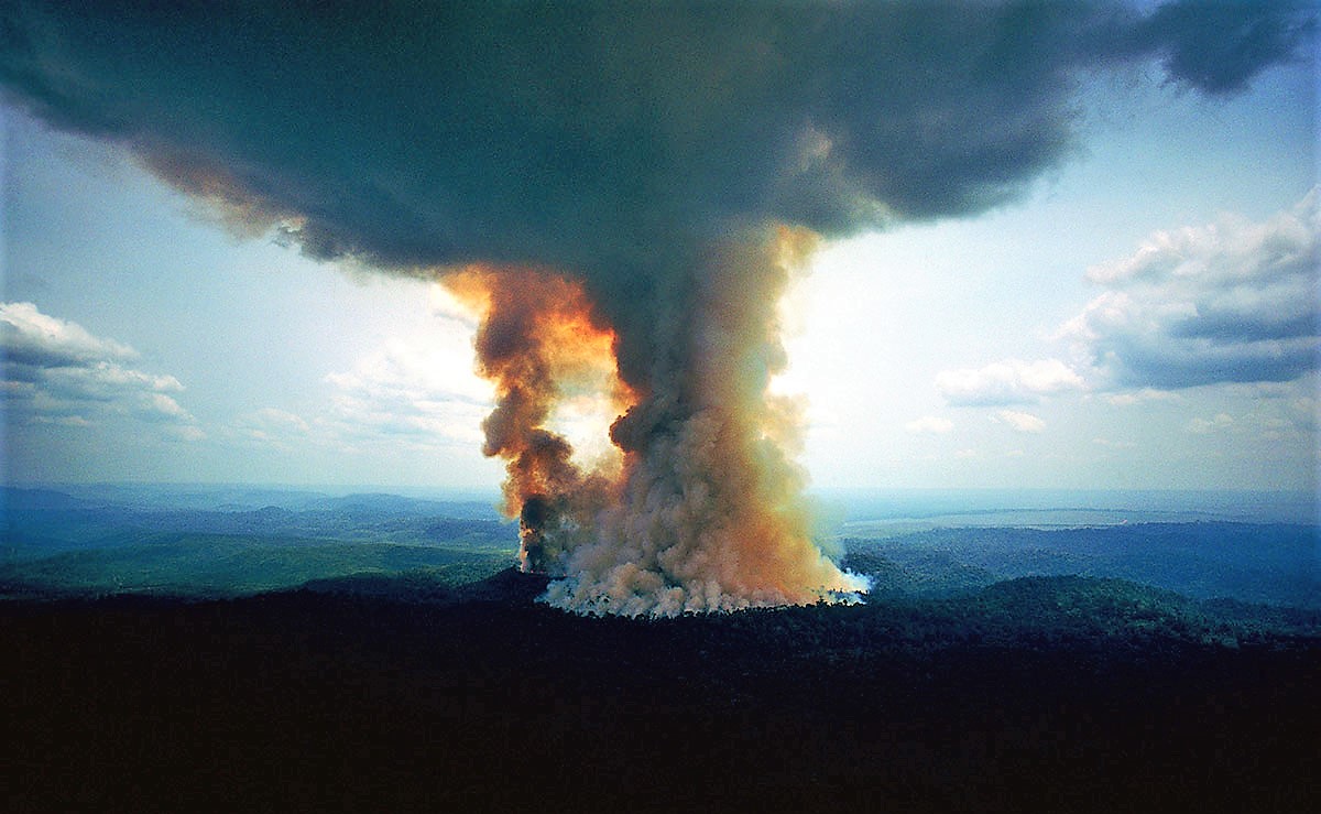 Amazonas en Llamas: El pulmón de la Tierra arde (Video)