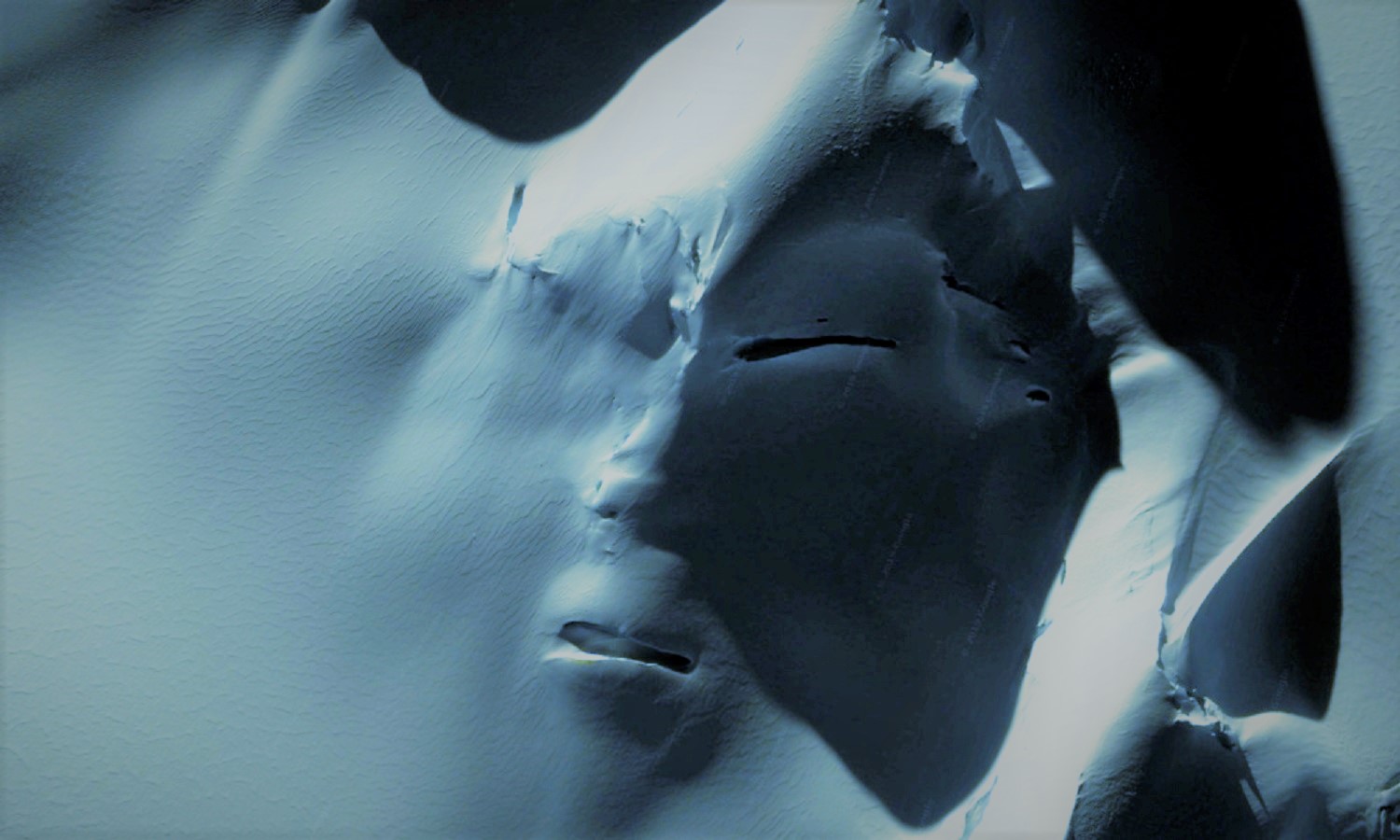 Una gigantesca cara de un «Alien Gris» descubierta en la Antártida (Video)
