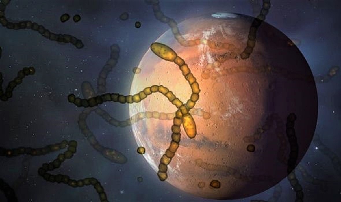Quieren contaminar Marte con microbios para iniciar la colonización