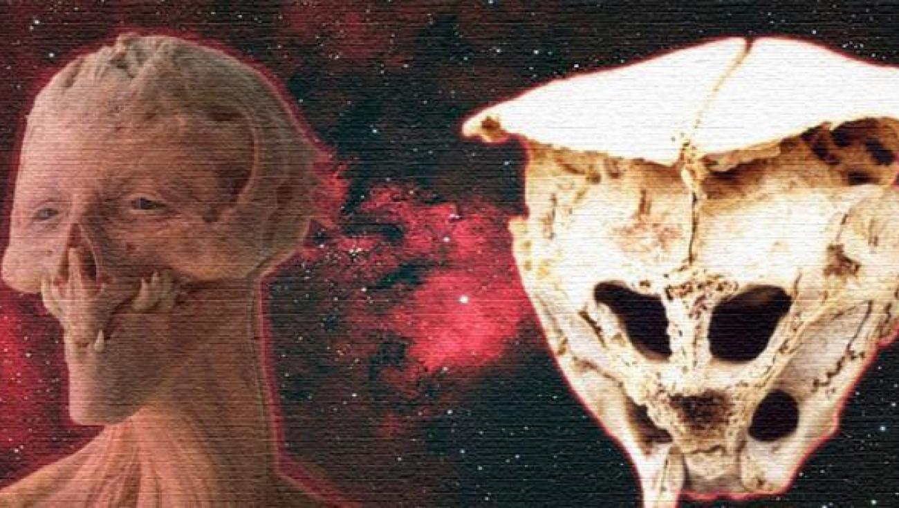 El cráneo de León: ¿evidencia real de vida Extraterrestre? (Video)
