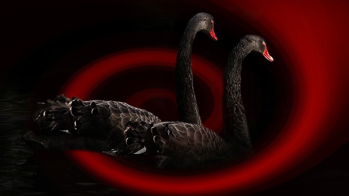 Teoría del Cisne Negro: las consecuencias del confinamiento (Video)