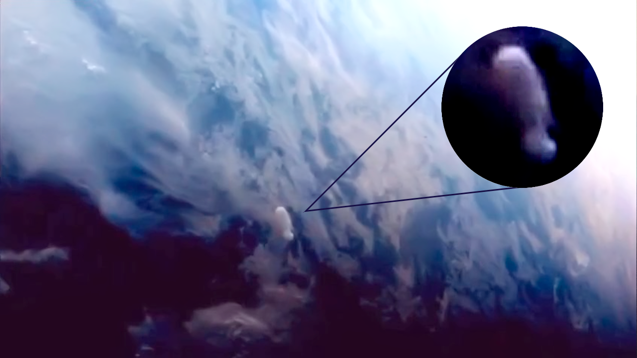 Extraño OVNI es captado por la EEI mientras transmite en directo (Video)