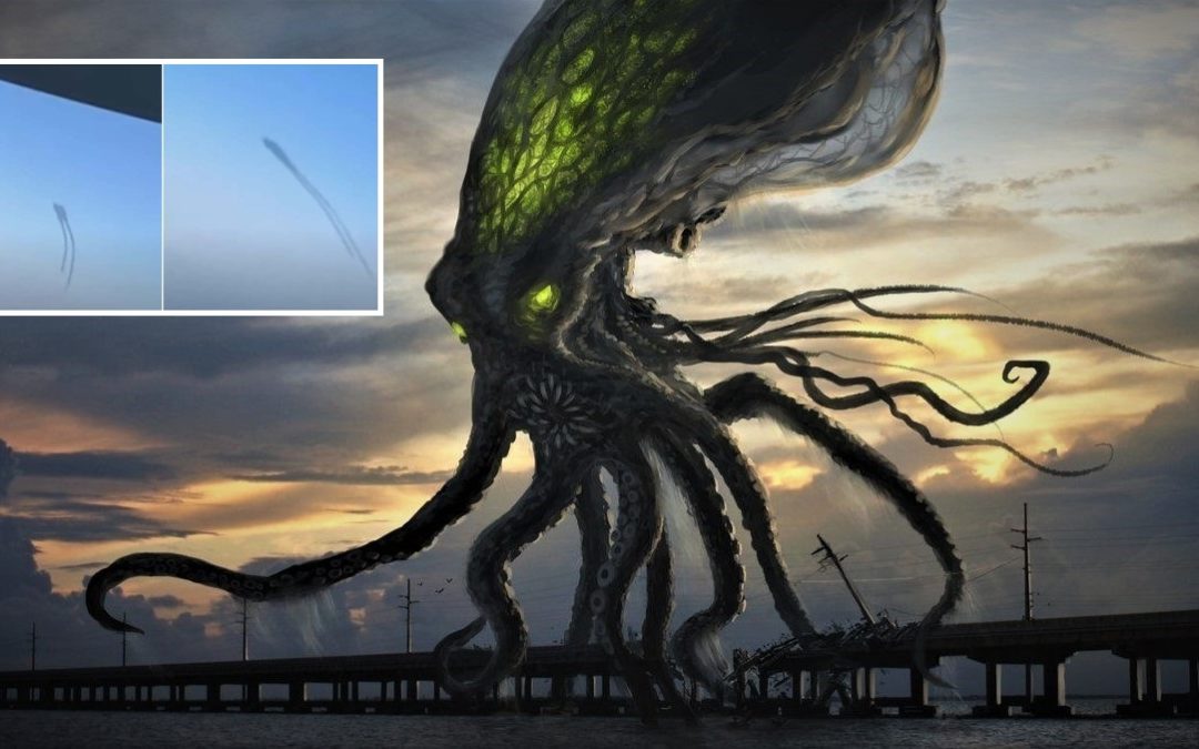 Graban un «calamar extraterrestre» en Estados Unidos (Video)