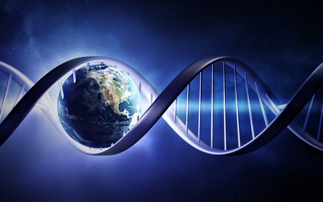 El primer gen de la Tierra pudo haber sido un «híbrido» (Video)