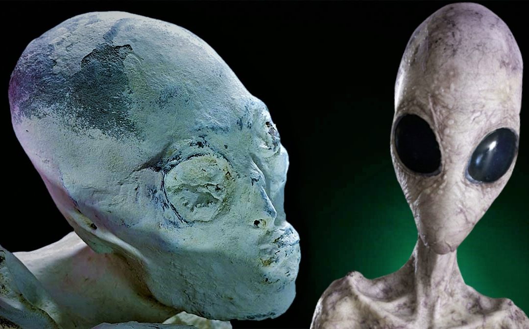 Cráneos alargados: ¿Híbridos extraterrestres en la antigüedad? (Video)