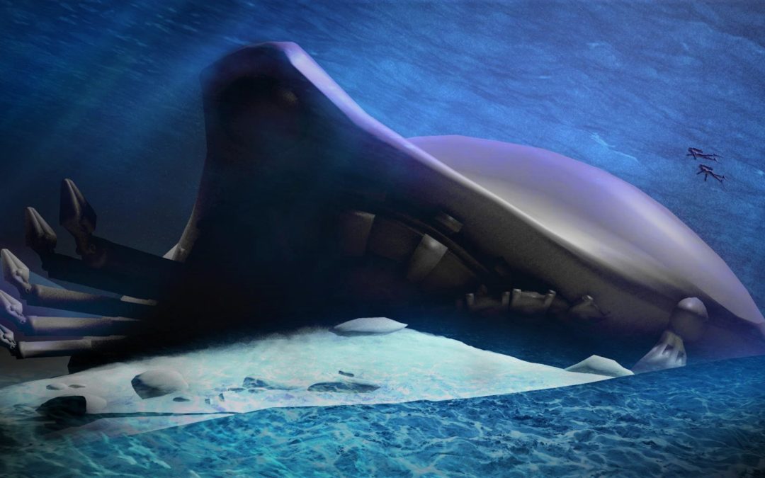 ¿Submarinos «en guerra secreta» contra naves alienígenas en el océano?
