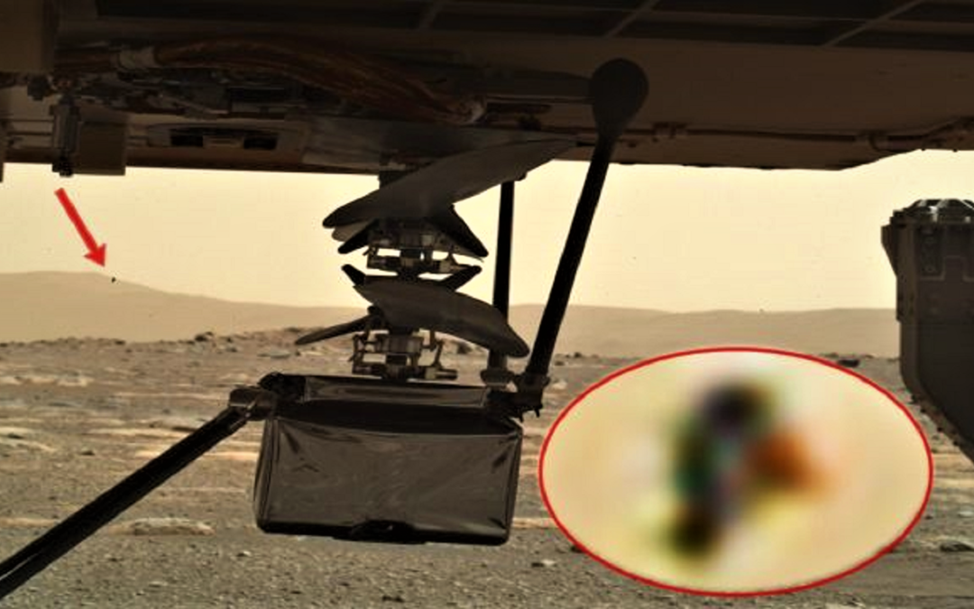 «Algo o alguien» está observando el helicóptero Ingenuity en Marte (Video)