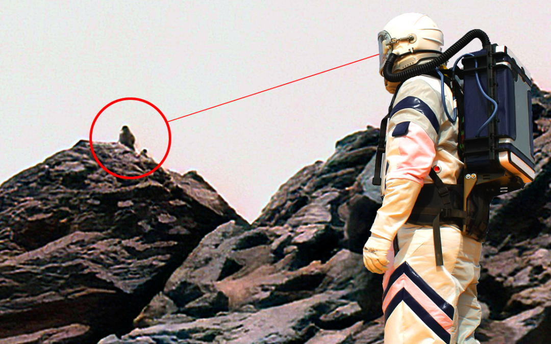 Fotos y videos muestran supuestos objetos y seres vivos que hay en Marte