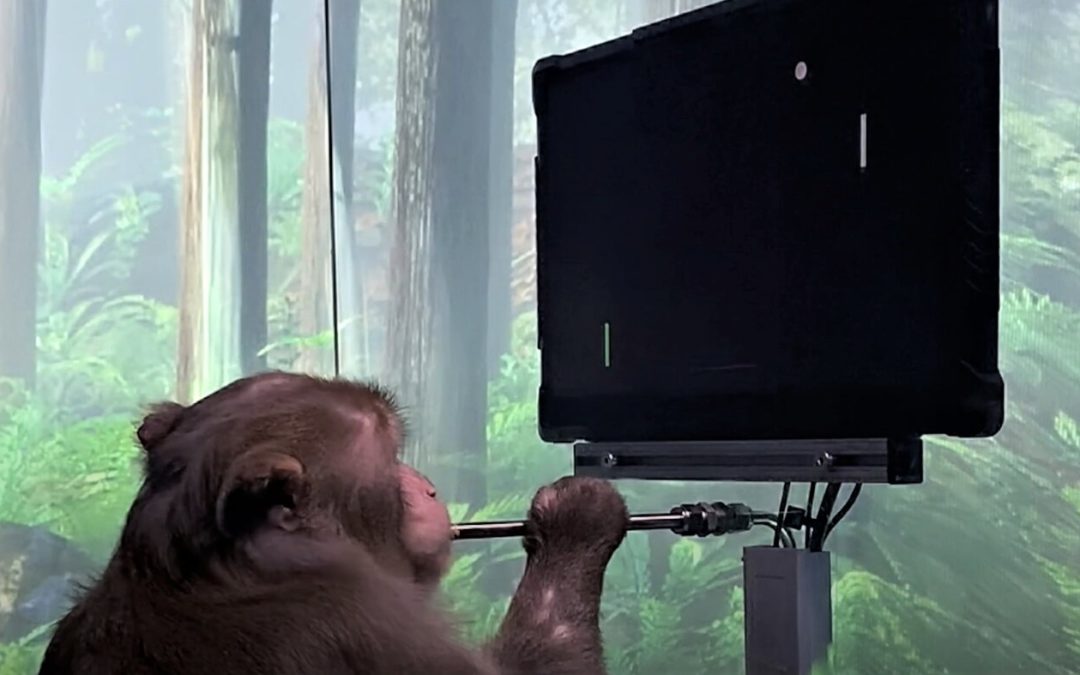 Neuralink logra que un mono controle un videojuego solo con su mente