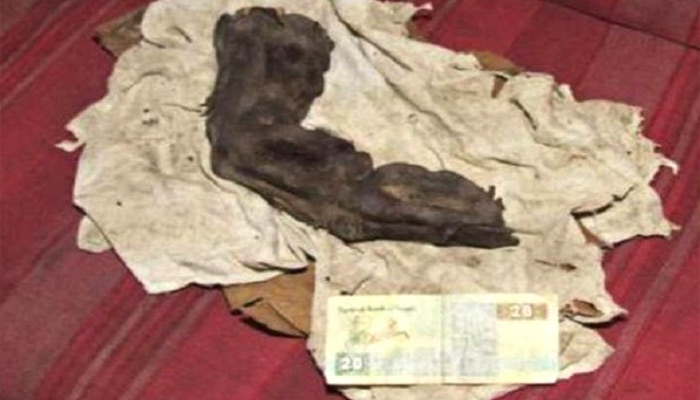 Gigantes en el Antiguo Egipto: dedo momificado podría confirmarlo