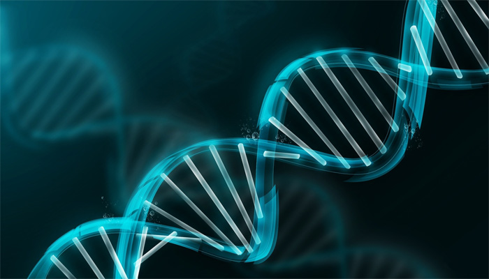 Kerry Cassidy: El ADN humano está compuesto por 12 razas extraterrestres