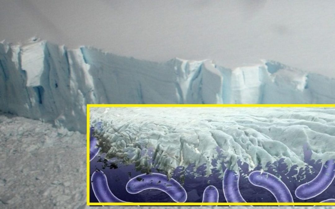 Virus desconocidos de 15.000 años emergen del derretimiento de glaciares
