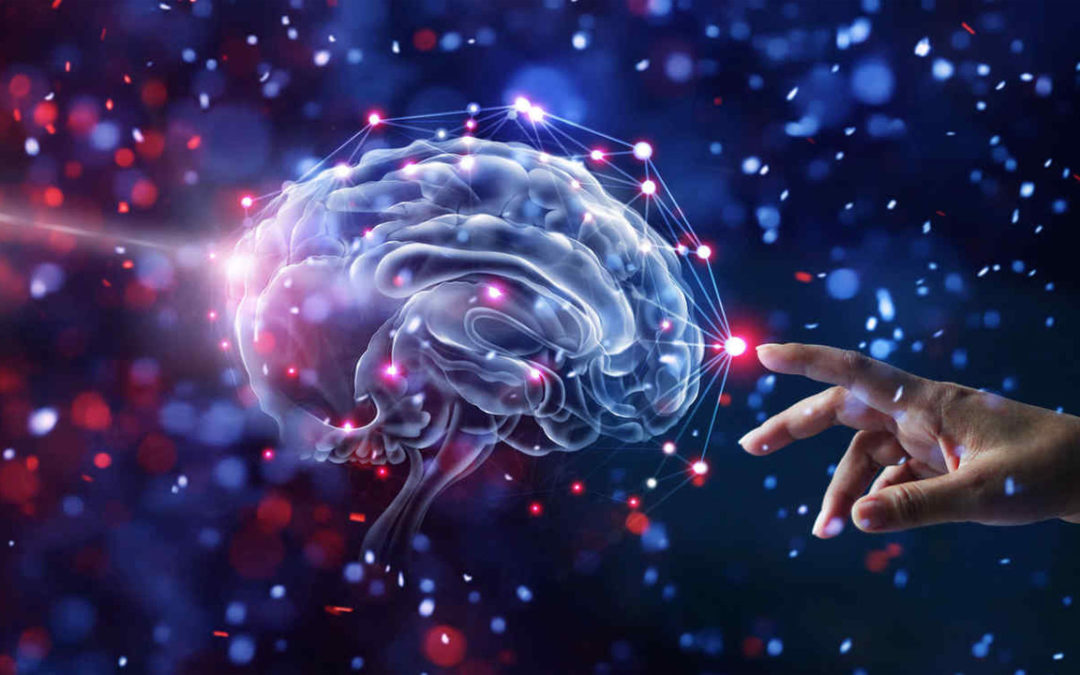 Científicos descubren un «universo multidimensional» en el cerebro humano
