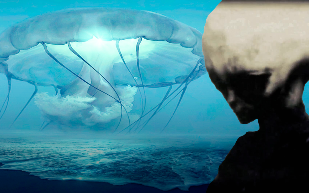 OVNIs Medusa: Un misterio sin resolver sobre nuestras cabezas (Video)