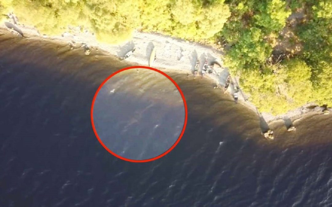 Un dron «graba por primera vez» al mítico monstruo del lago Ness (Video)