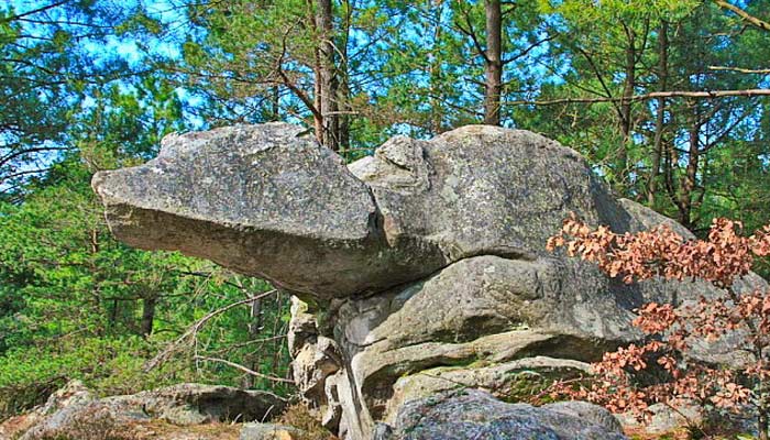 Fontainebleau: Los vestigios de criaturas gigantes que vivieron antes del Gran Diluvio Universal