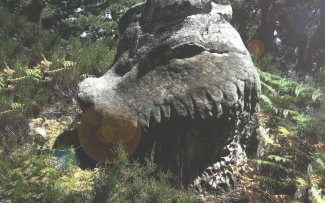 Fontainebleau: ¿Vestigios de seres gigantes Pre-Diluvianos en Francia?