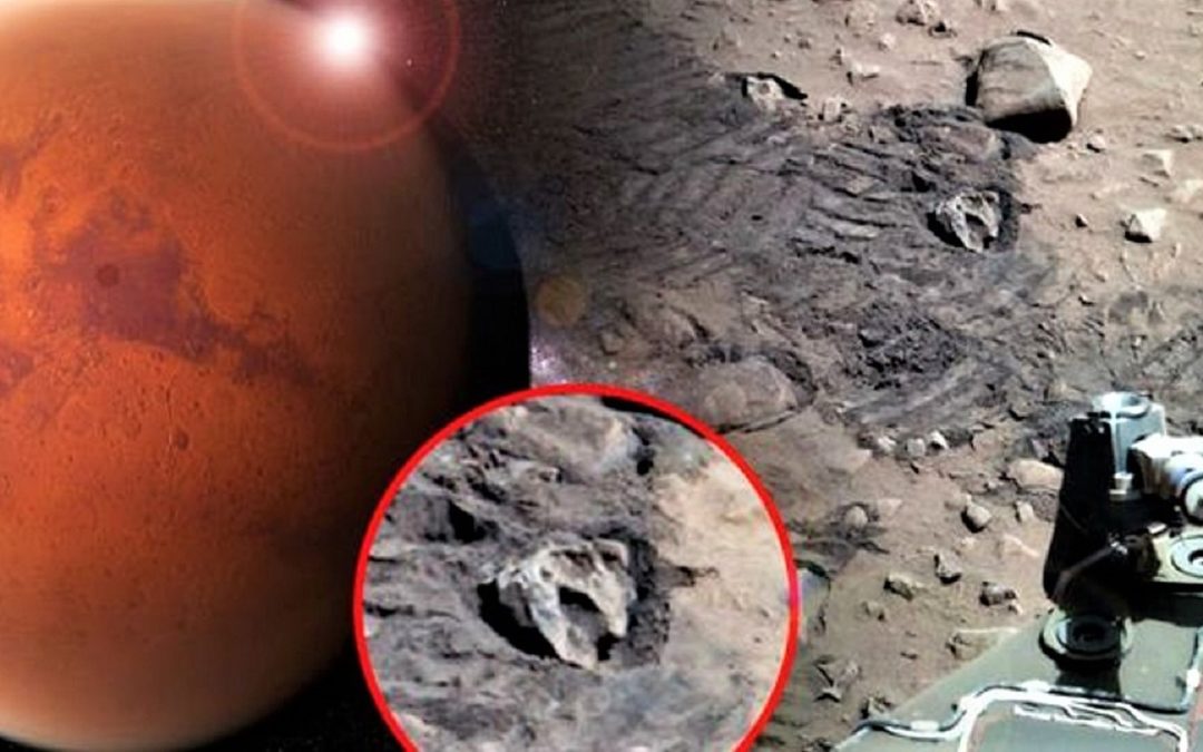 Científicos advierten sobre la presencia de «fósiles falsos» en Marte