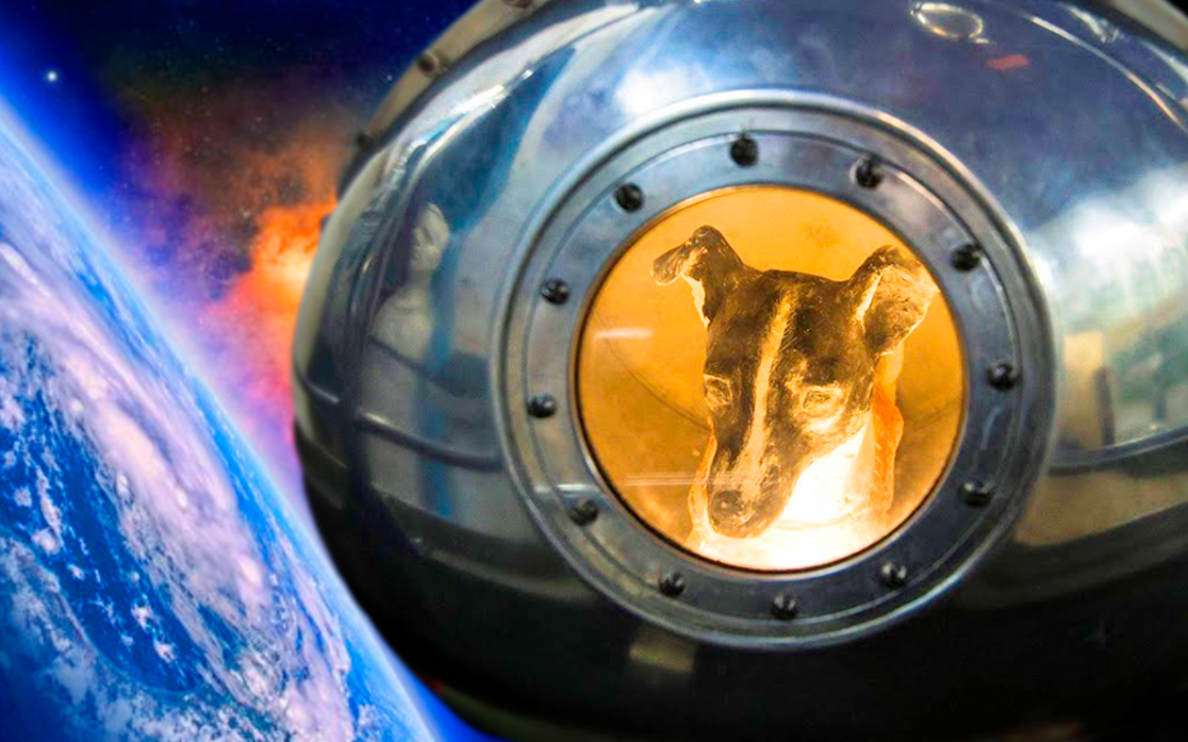 Laika, el primer ser terrestre que alcanzó el espacio (Video)