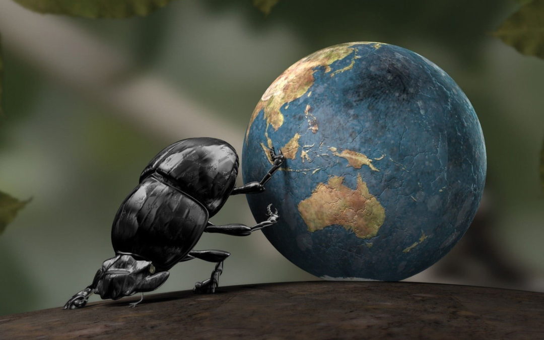 Los insectos están desapareciendo: Expertos alertan de una crisis ambiental