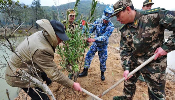 Contra el cambio climático: China ordenó a plantar árboles a 60.000 soldados