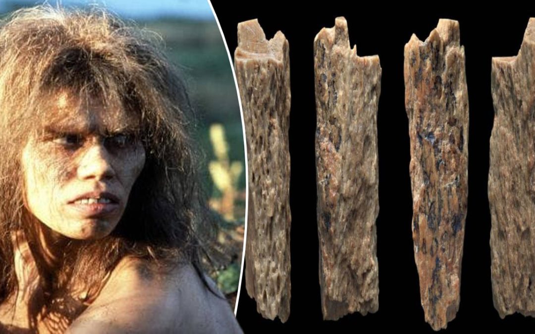 Arqueólogos descubren un híbrido humanoide de 90.000 años (Video)