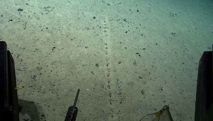 Agujeros misteriosos aparecen perfectamente alineados en el fondo marino