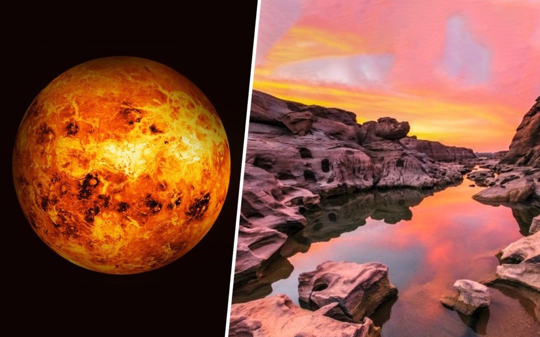 Misión a Venus: Empresa enviará sonda para buscar vida extraterrestre