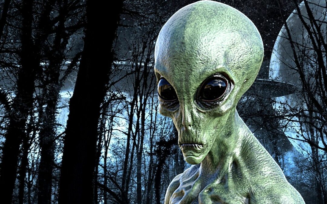 Cámara de rastreo en un bosque de Australia captó un «alien gris»