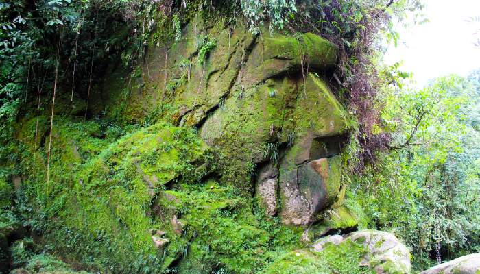 El rostro de Harakbut: enorme cara antigua escondida en lo profundo de la Amazonía peruana