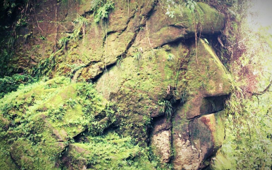 El rostro de Harakbut: «enorme cara escondida en lo profundo de la Amazonía peruana»