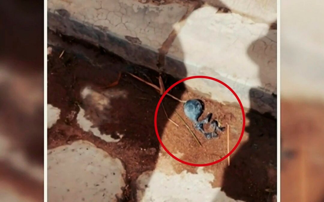 Encuentran el «pequeño cadáver de un extraterrestre» en Bolivia